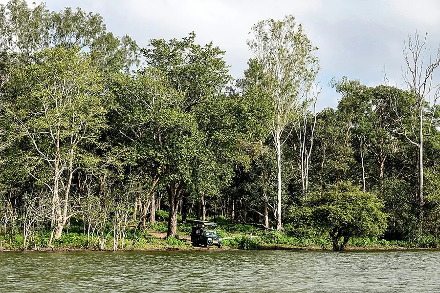 Forest safari vehicle in the Dandeli region