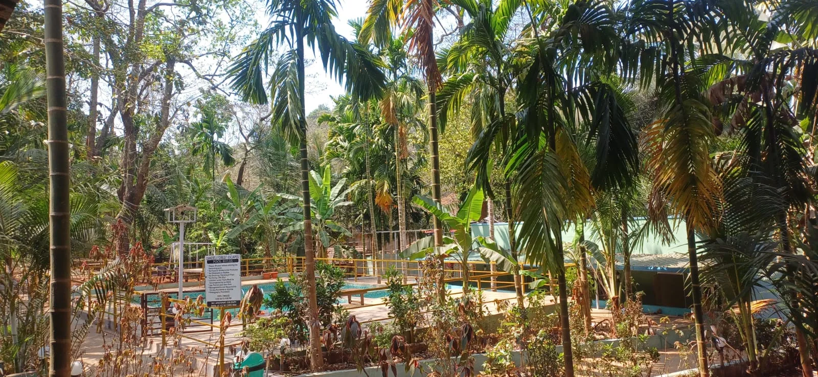 Green resort and pool setting in Dandeli