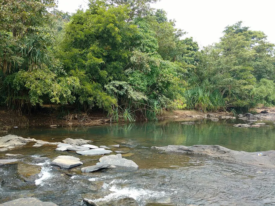Forested riverside landscape at Moulangi in Dandeli