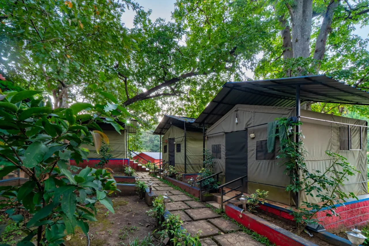 Commando Cottages at Jungle Cottage & Group Stay