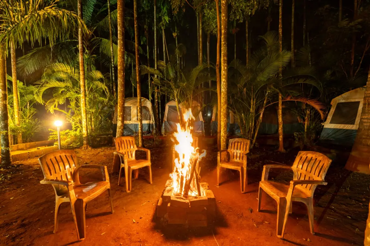 Campfire area in Nature & Adventure Stay